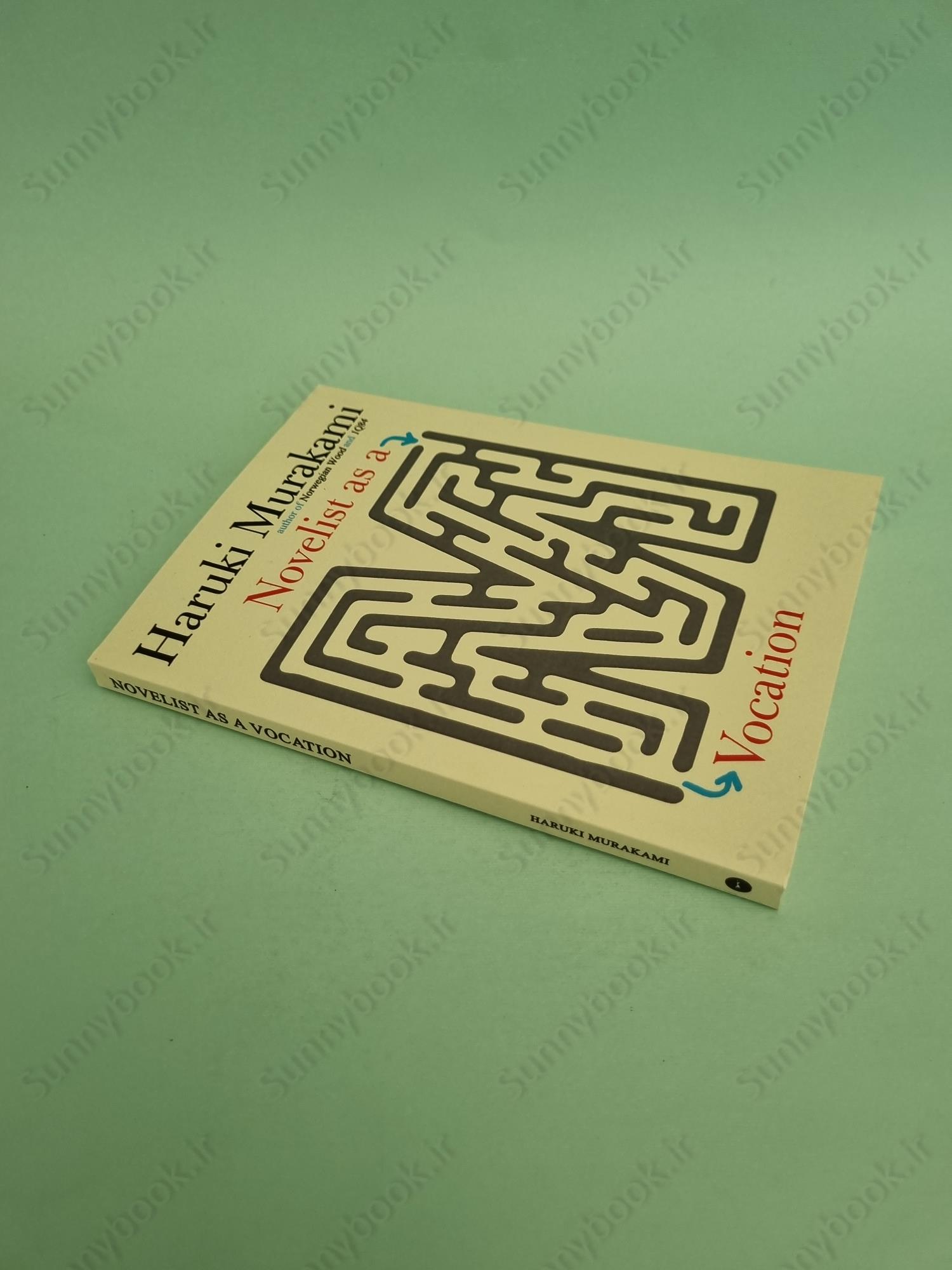 Novelist as a Vocation main 1 3