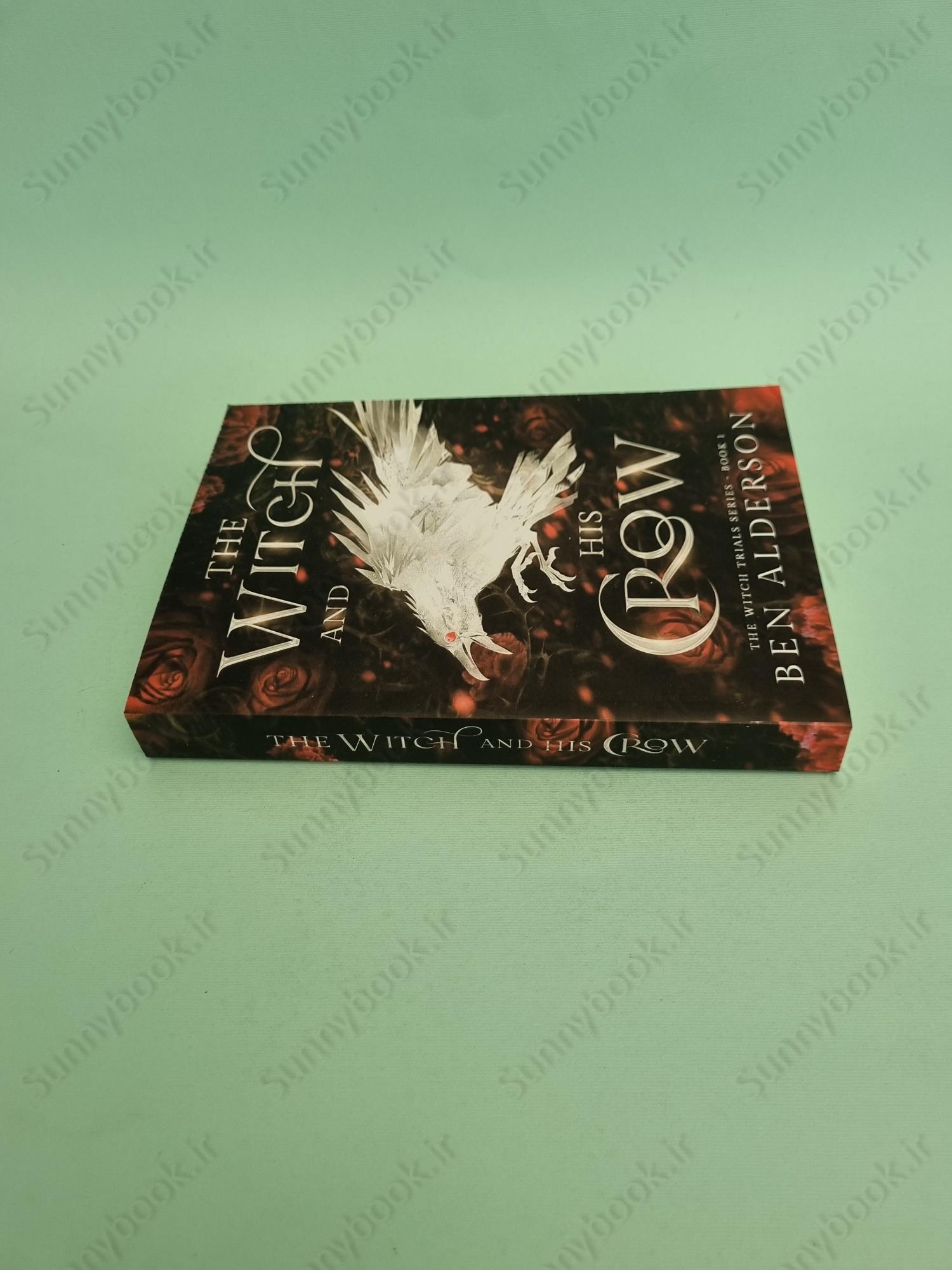 The Witch and His Crow main 1 4