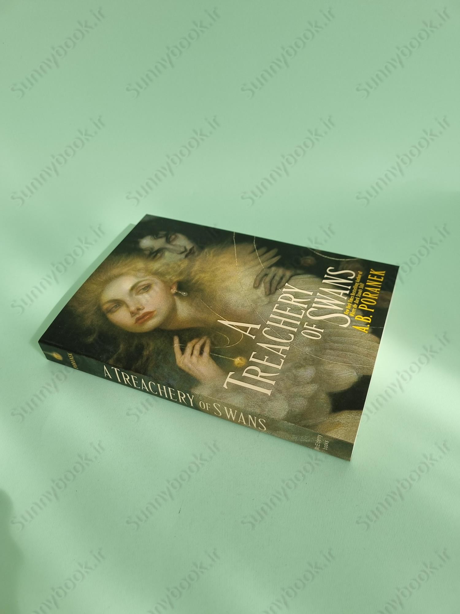 A Treachery of Swans main 1 3