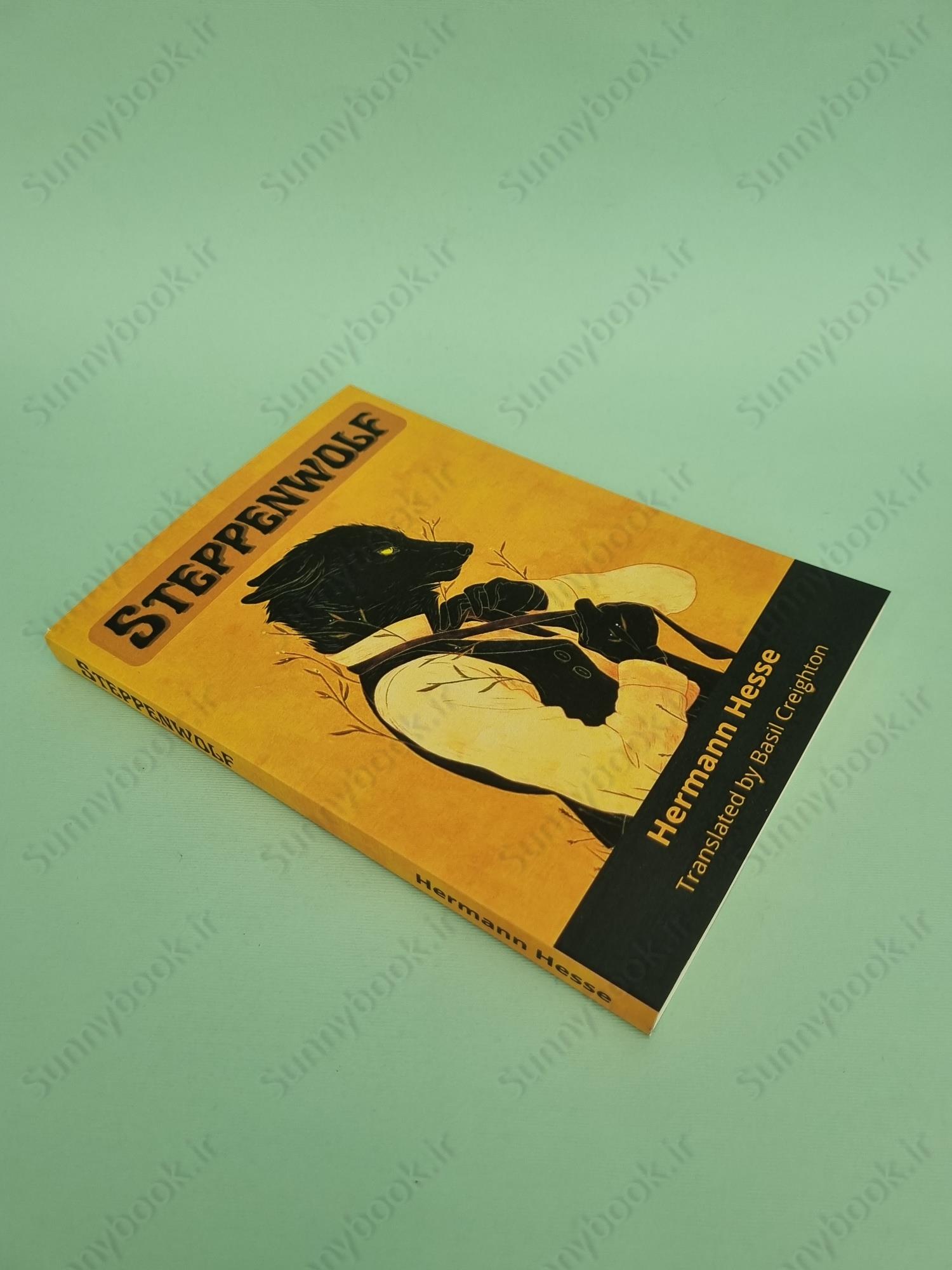 Steppenwolf main 1 3