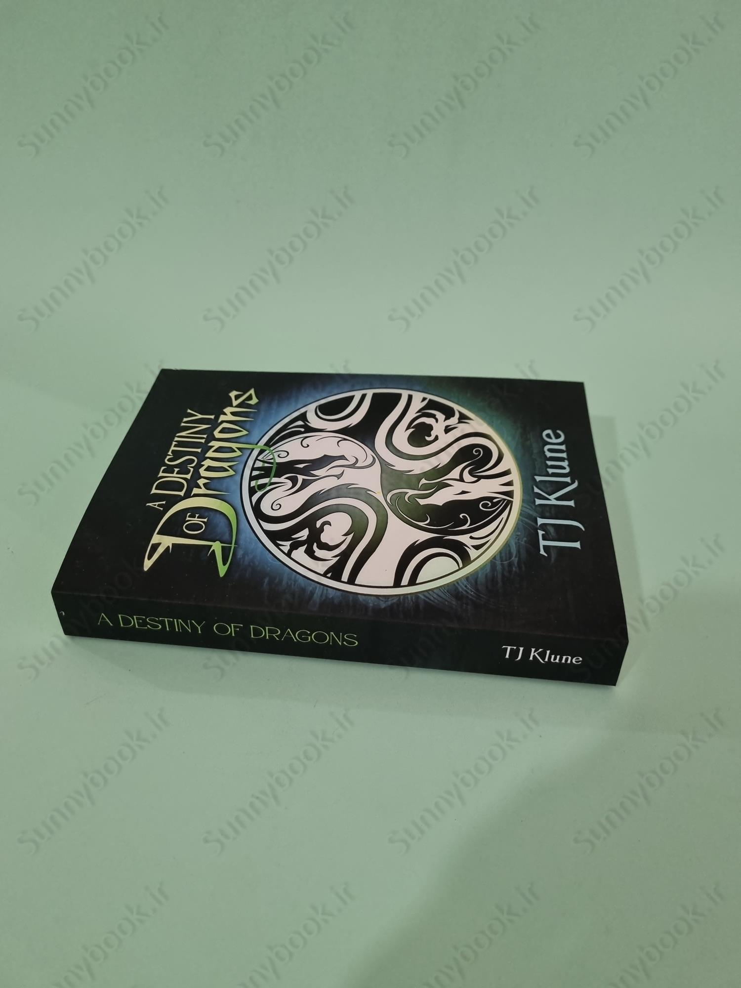 A Destiny of Dragons (Tales of Verania 2) main 1 4