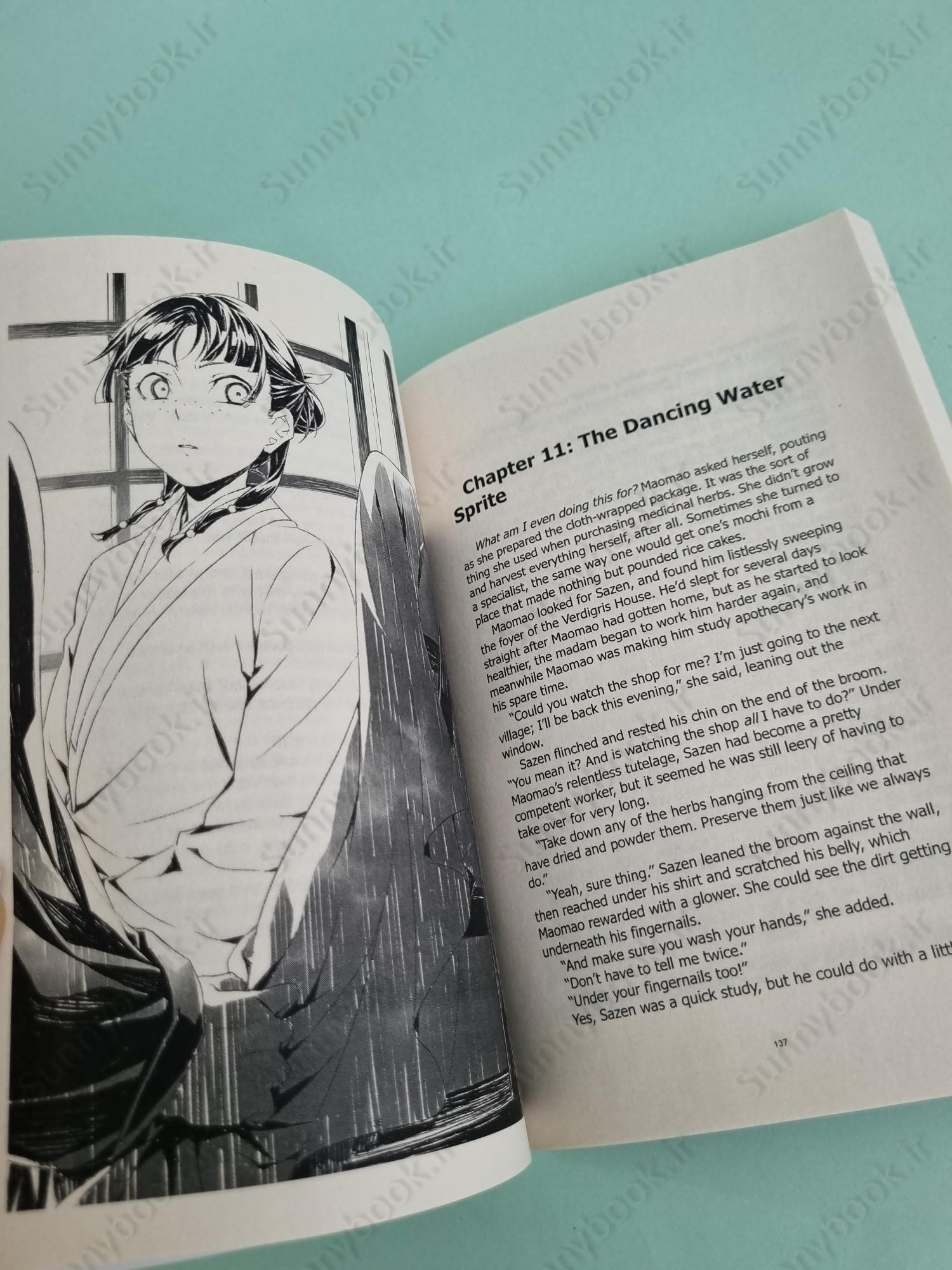 The Apothecary Diaries: Volume 6 (Light Novel) main 1 6