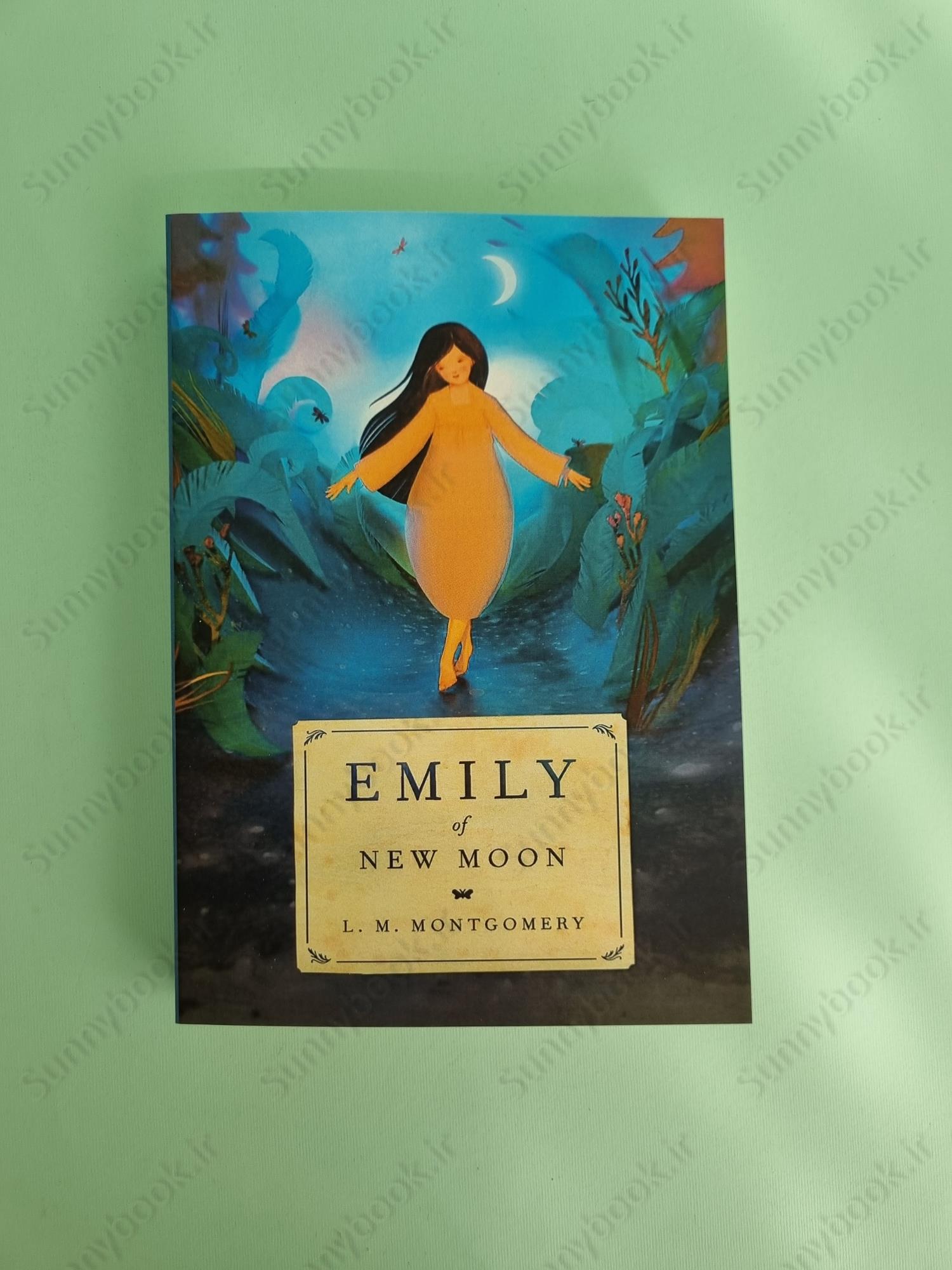 Emily of New Moon (The Emily Trilogy Book 1) main 1 2