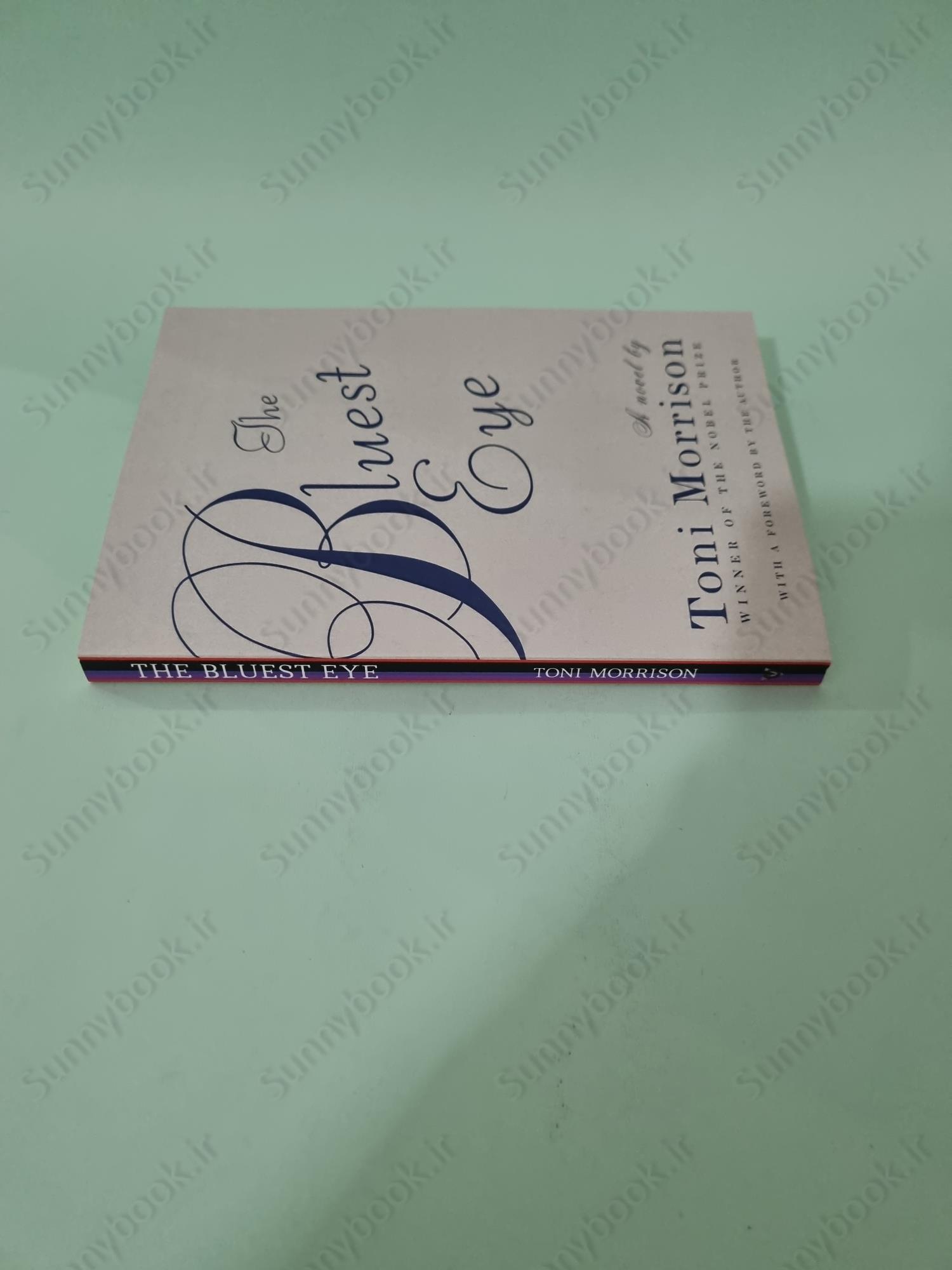 The Bluest Eye main 1 4