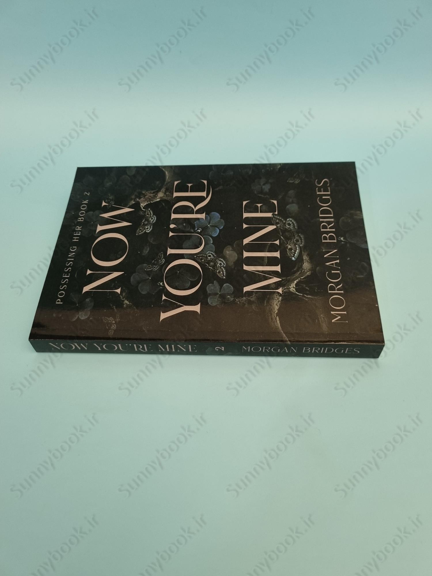 Now You're Mine Book 2 main 1 4