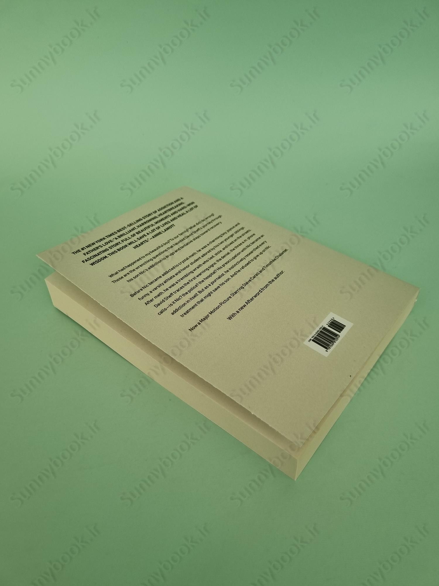 Beautiful Boy: A Father's Journey Through His Son's Addiction main 1 6