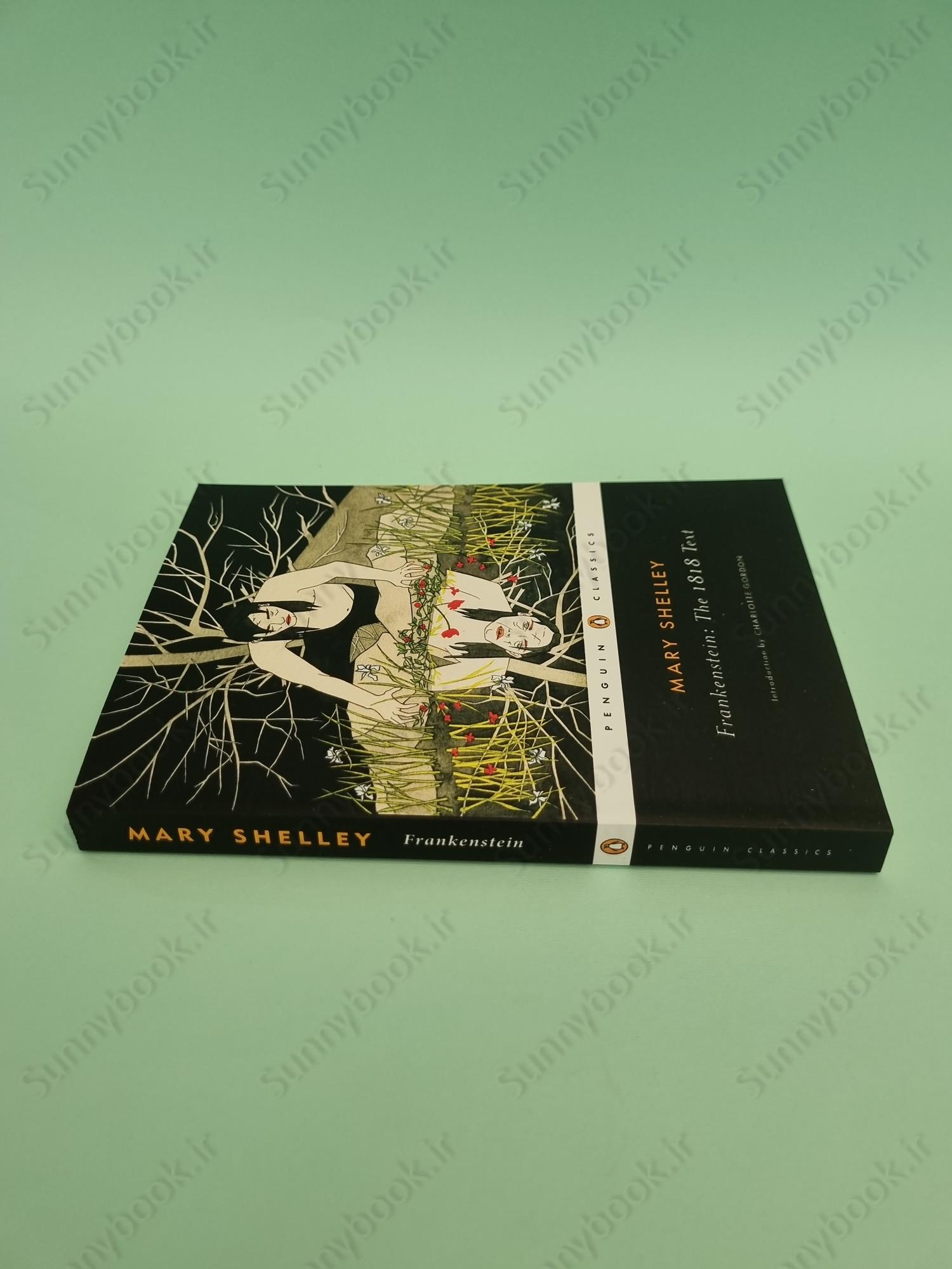 Frankenstein: The 1818 Text main 1 5