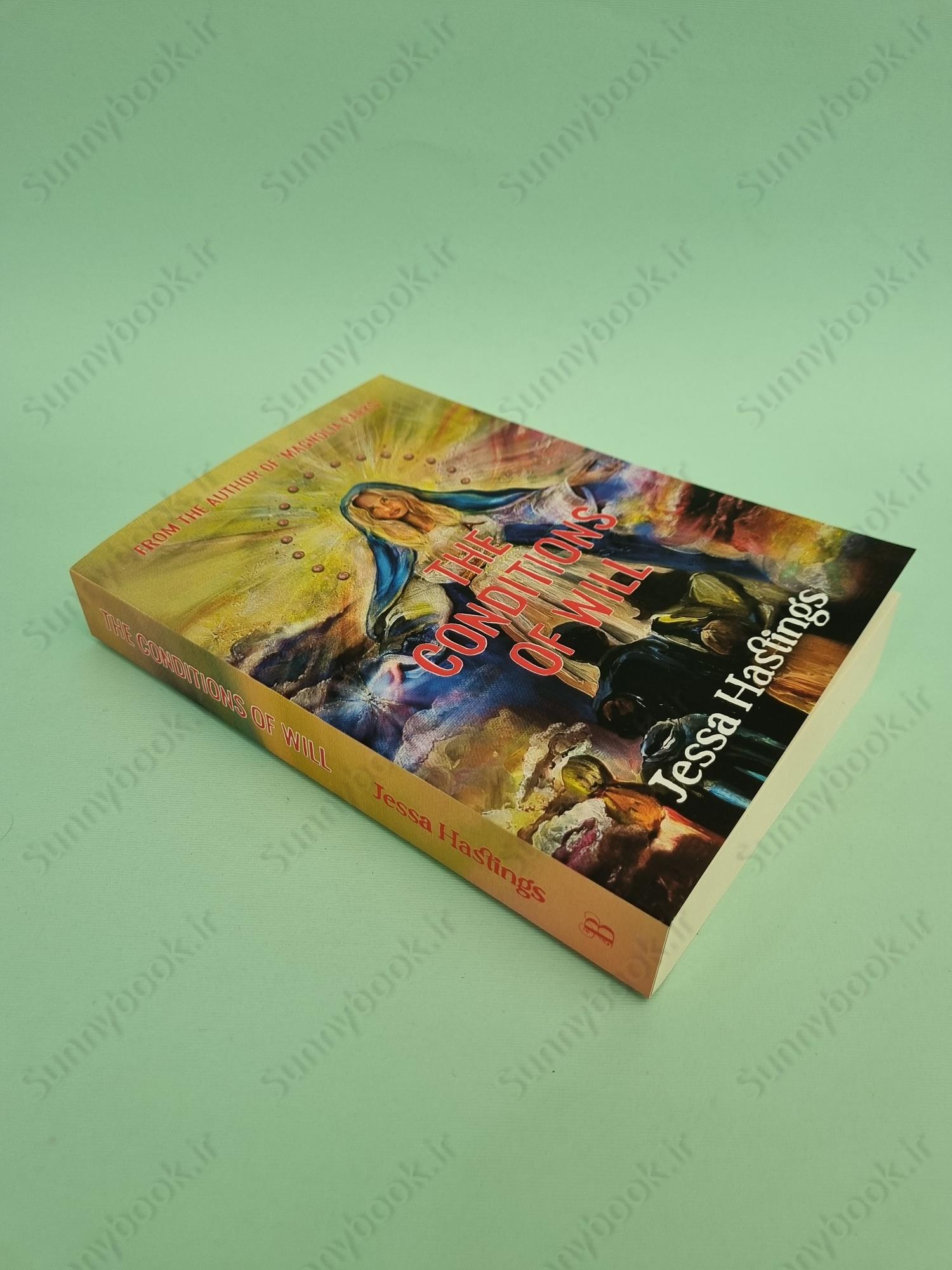 The Conditions of Will main 1 3