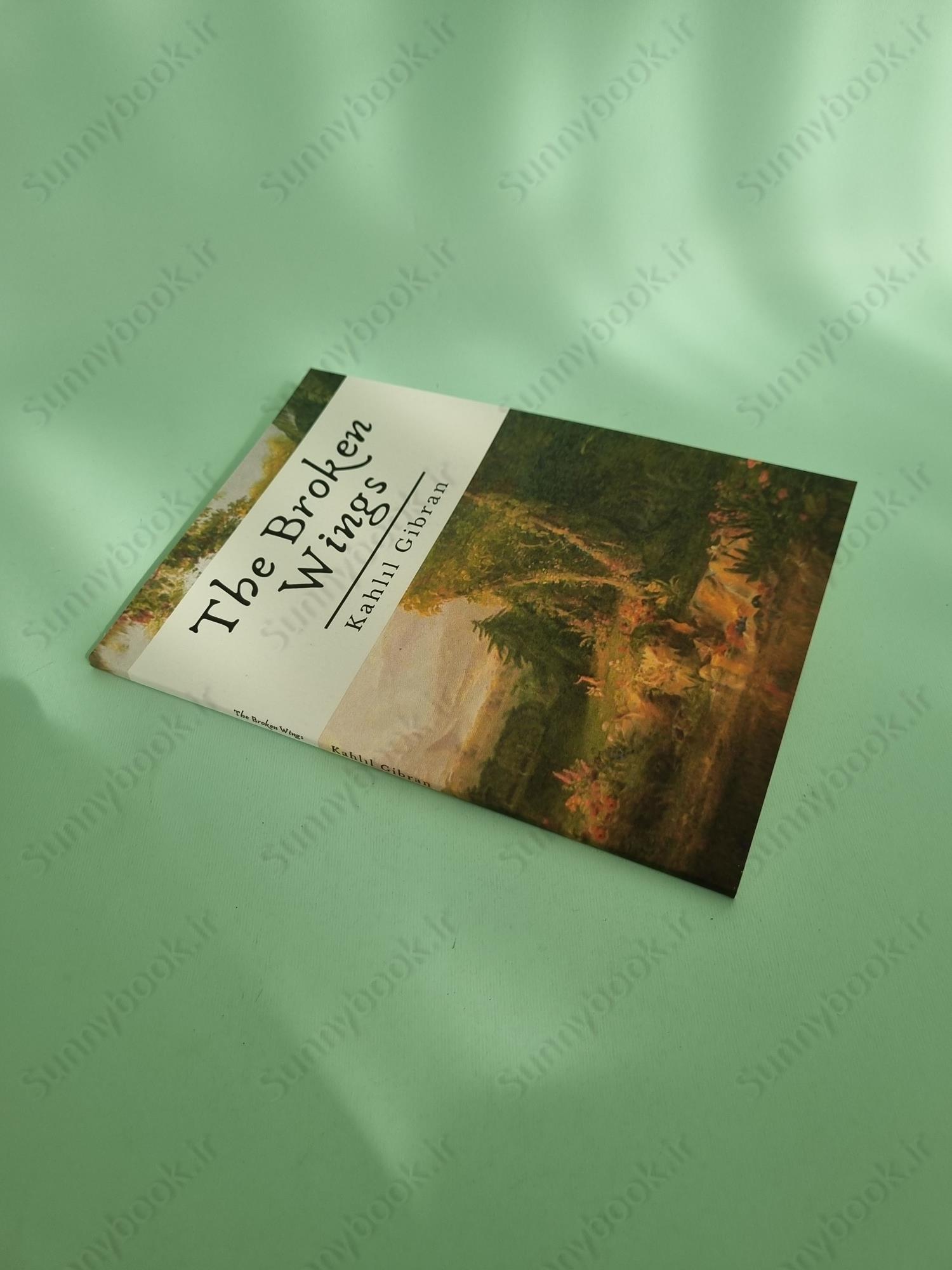 The Broken Wings main 1 3