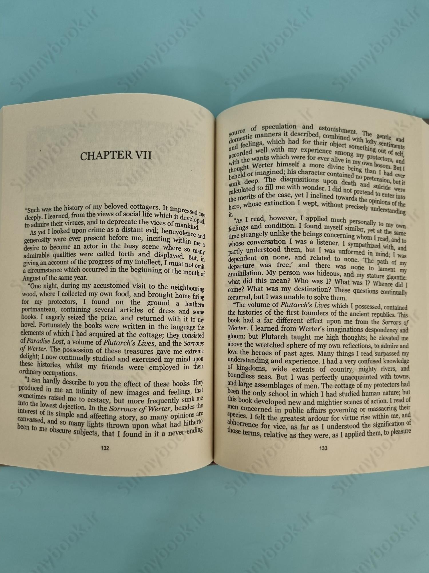 Frankenstein main 1 6