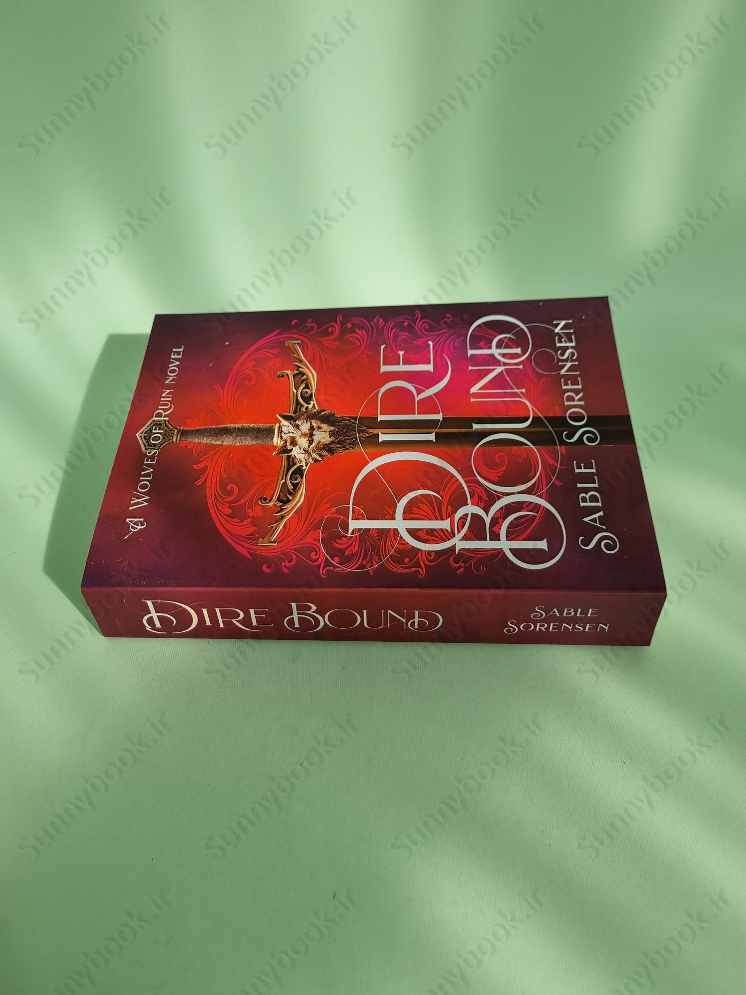 Direbound: A Dark Romantasy (The Wolves of Ruin Book 1) main 1 4