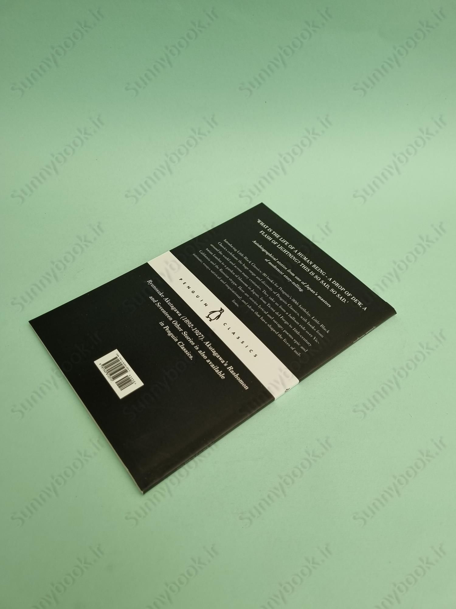 The Life of a Stupid Man main 1 4