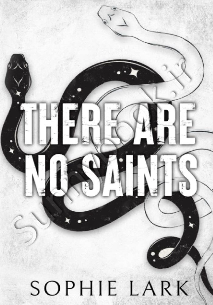 There Are No Saints (Sinners Duet Book 1) Model.Title