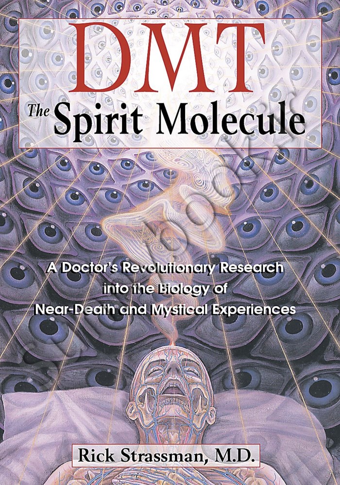 DMT: The Spirit Molecule Model.Title