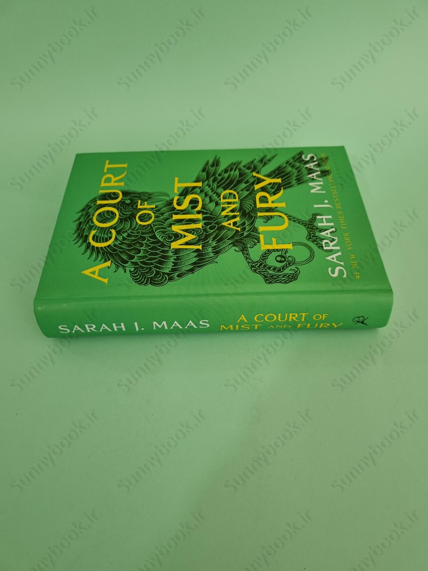 A Court of Mist and Fury (A Court of Thorns and Roses 2) main 1 4