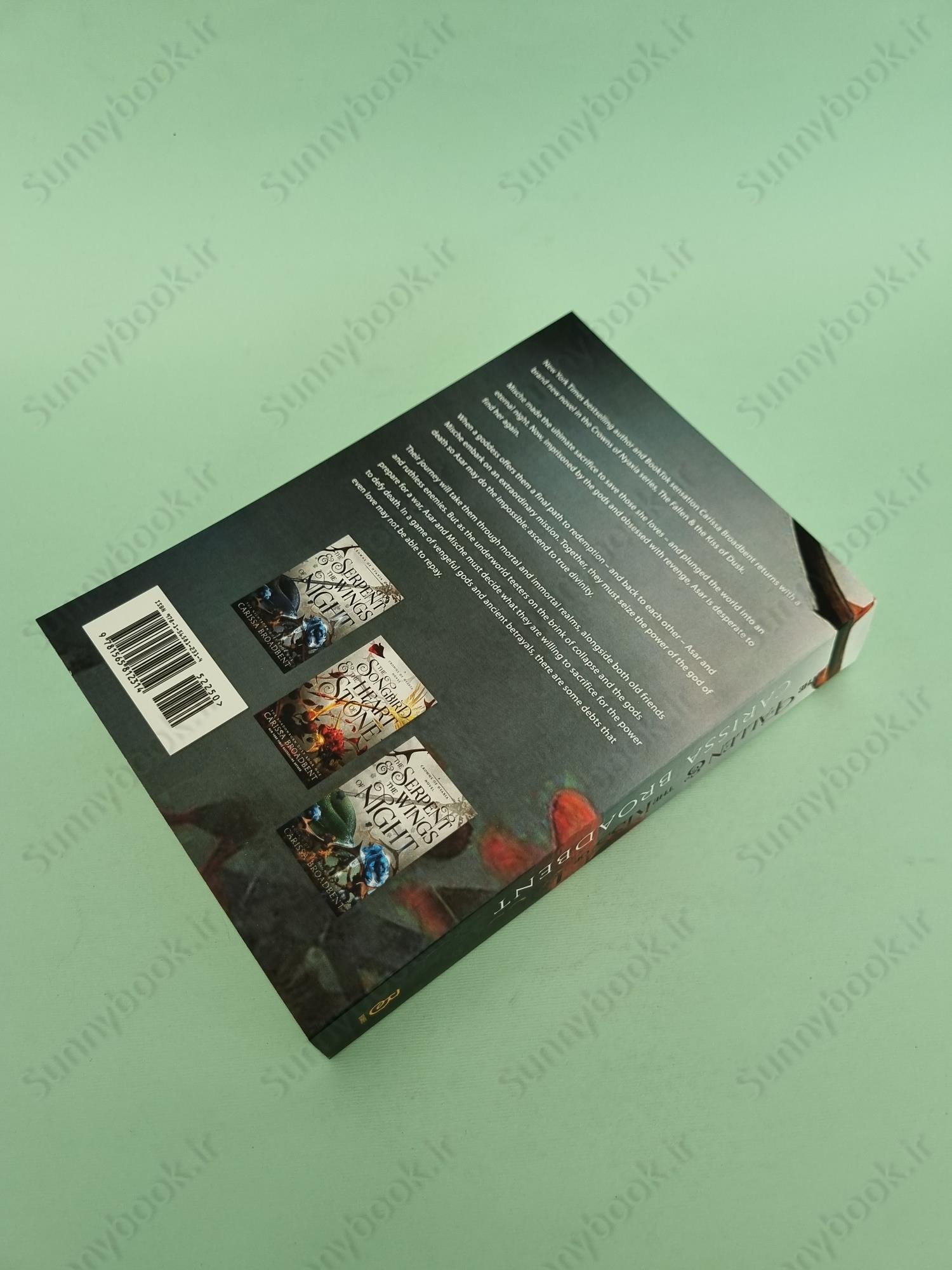 The Fallen and the Kiss of Dusk (Crowns of Nyaxia Book 4) main 1 4