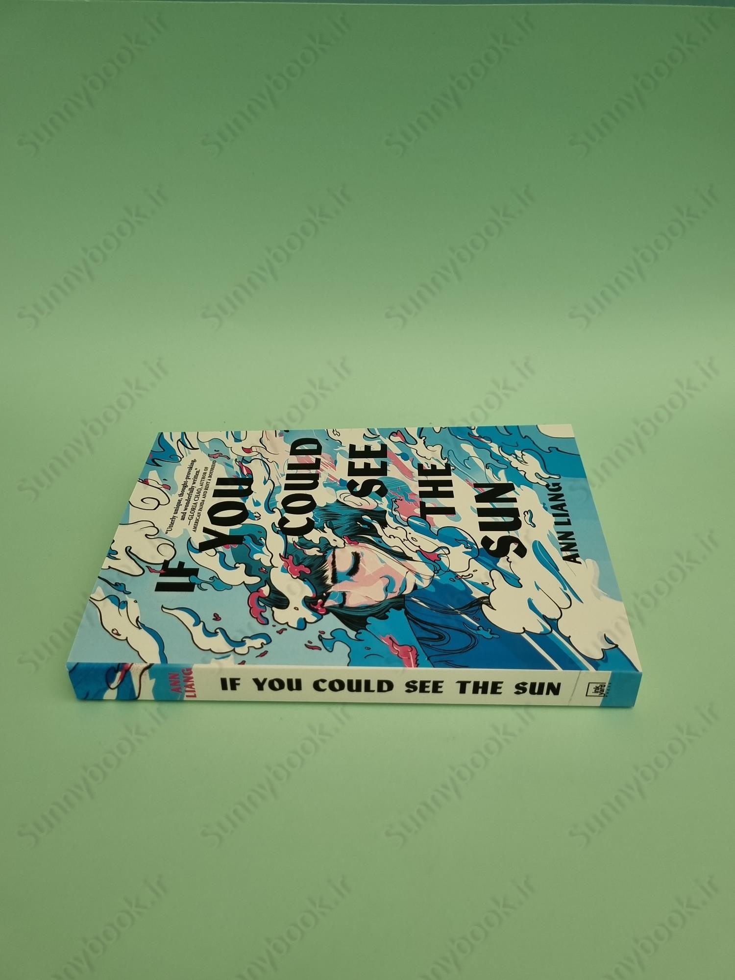 If You Could See the Sun main 1 5