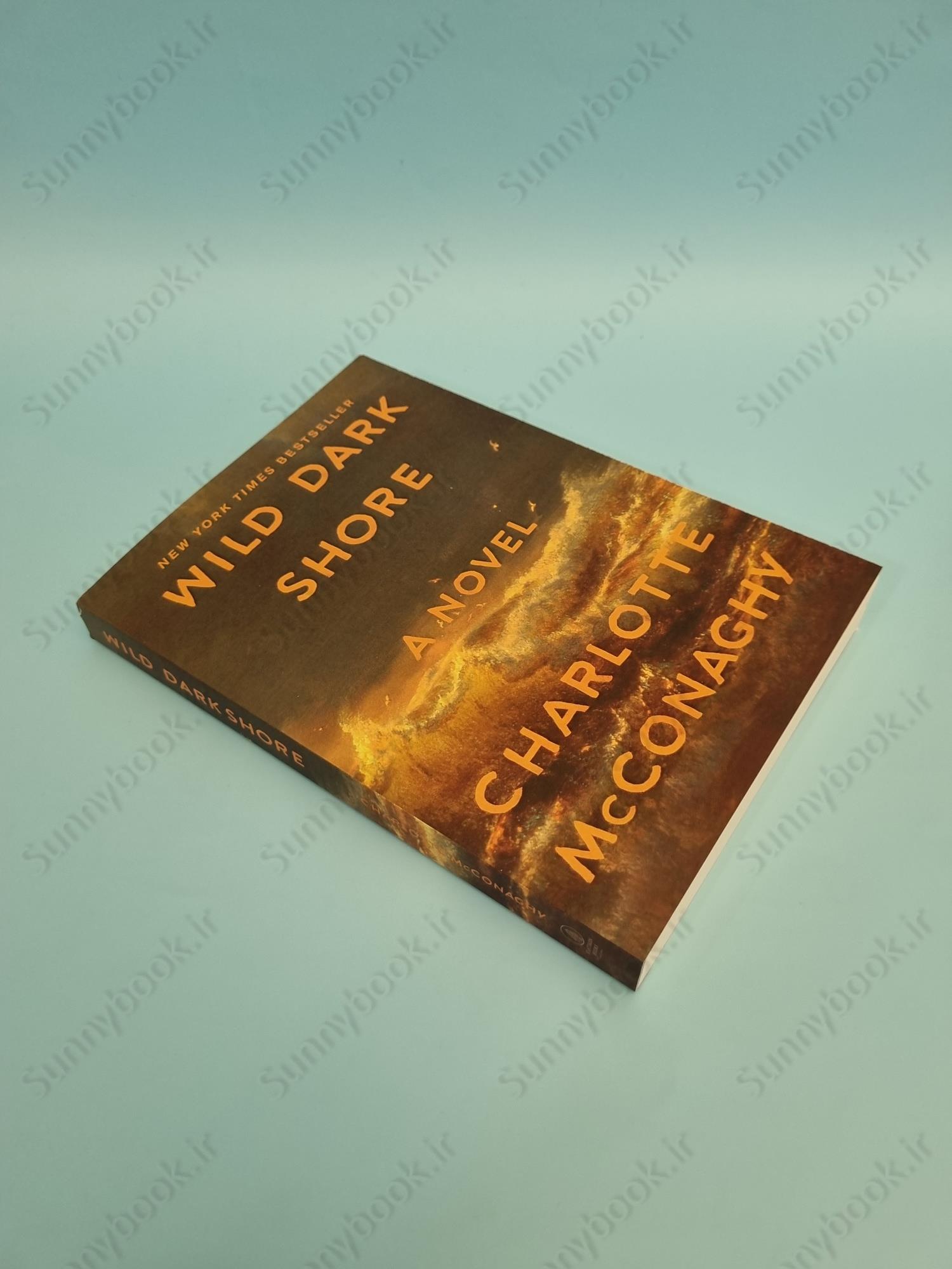 Wild Dark Shore main 1 3