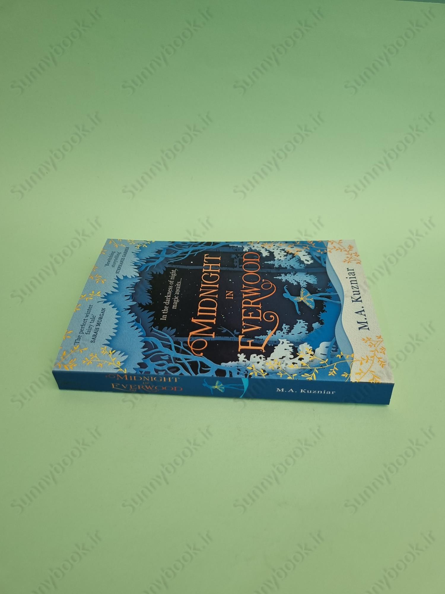 Midnight in Everwood main 1 4