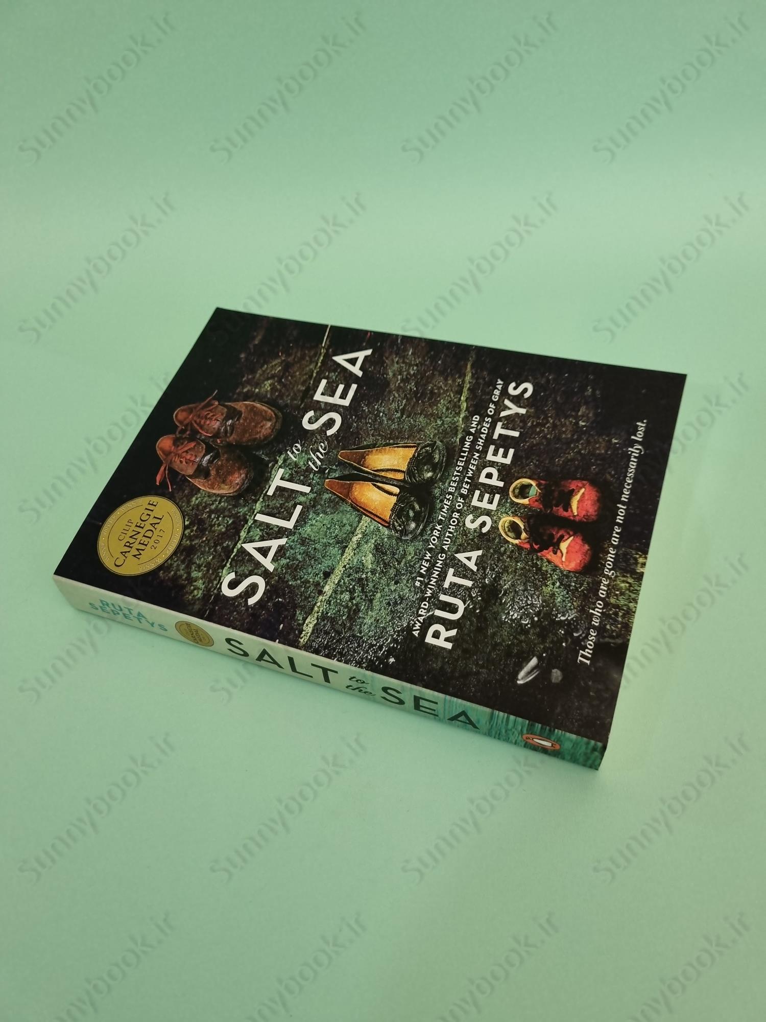 Salt to the Sea main 1 3