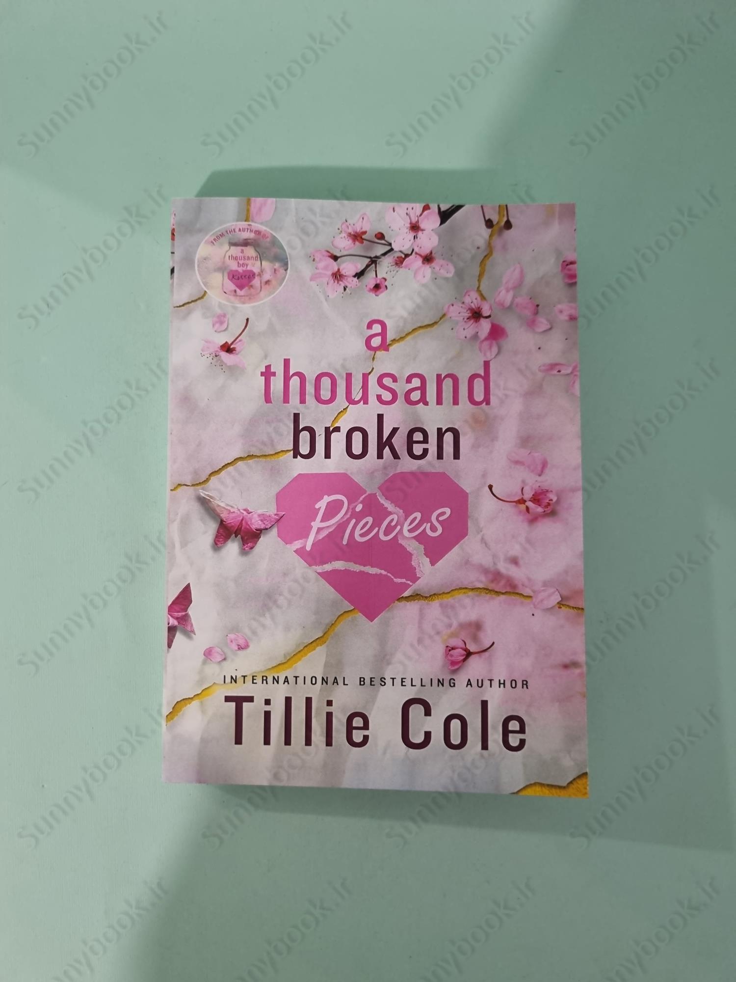 A Thousand Broken Pieces main 1 2