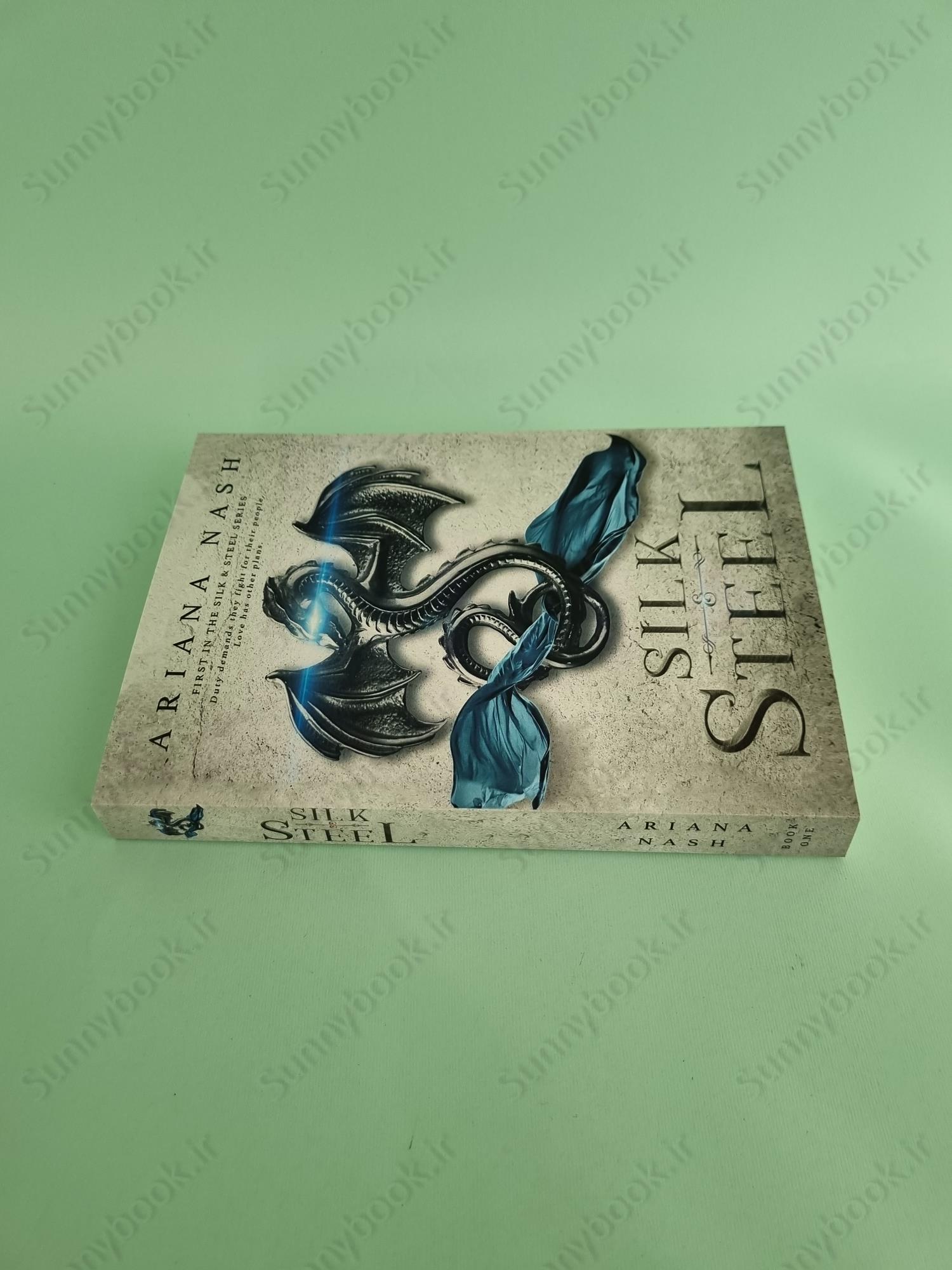 Silk & Steel (Silk and Steel 1) main 1 4