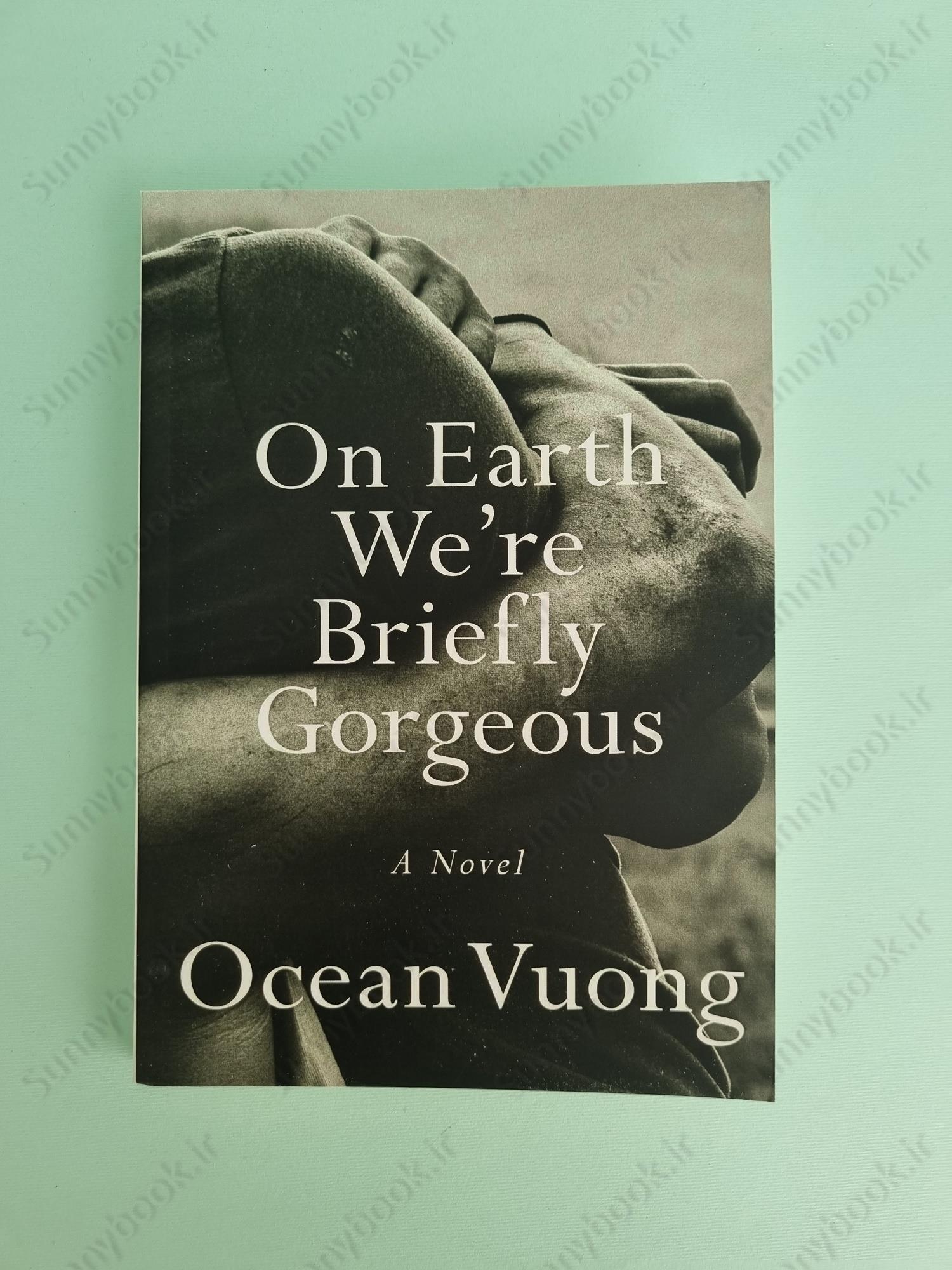 On Earth We're Briefly Gorgeous main 1 2