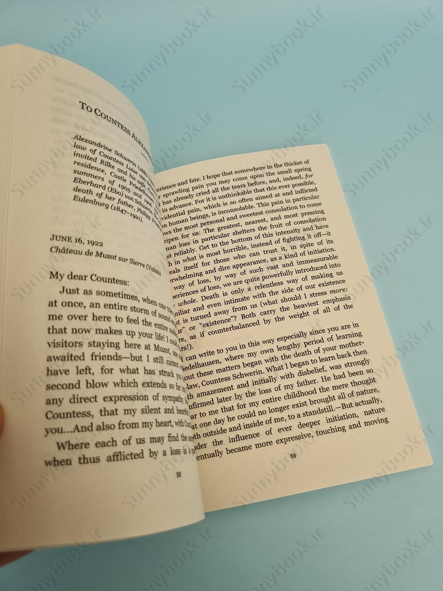 The Dark Interval: Letters on Loss, Grief, and Transformation main 1 6