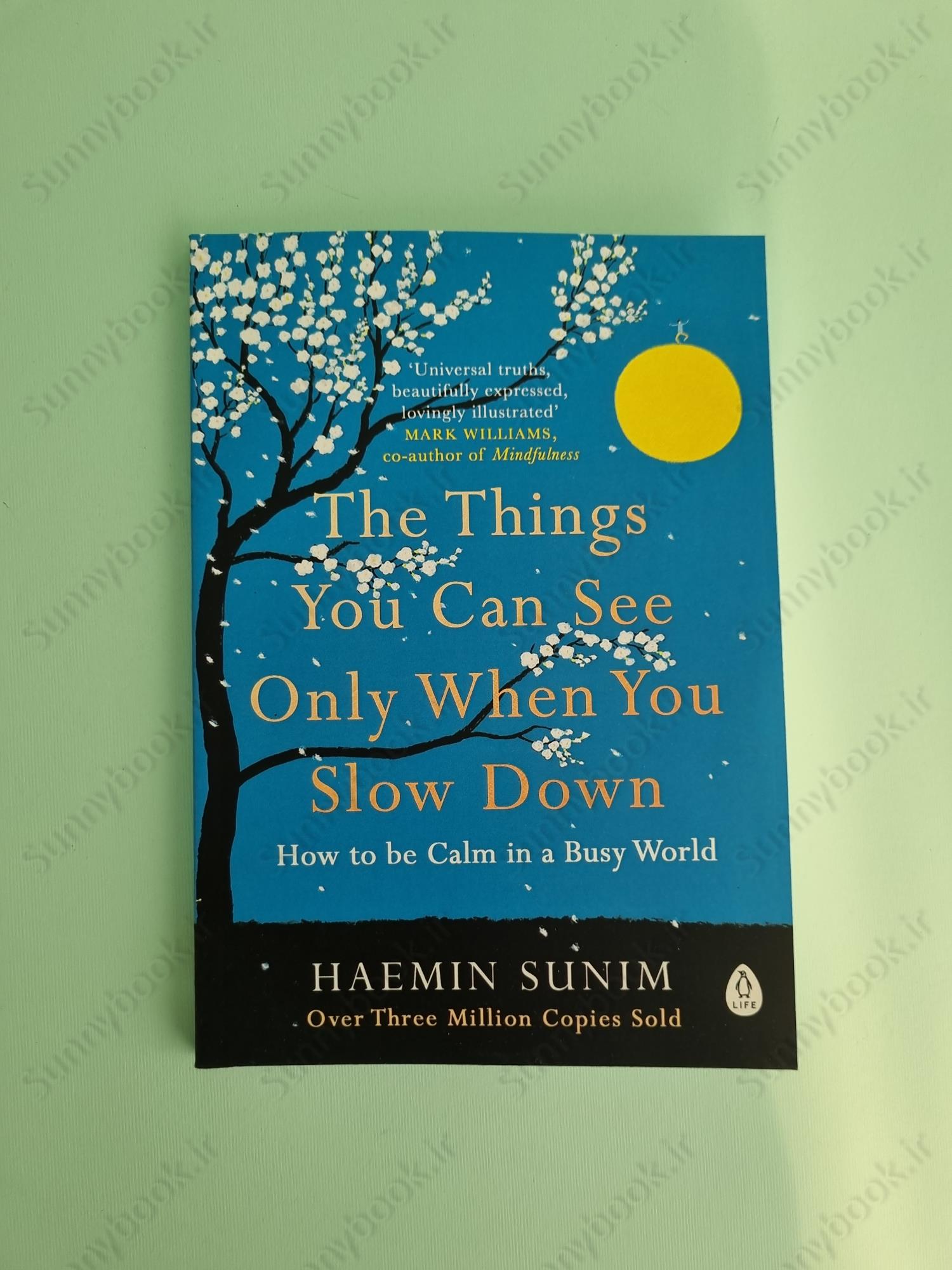 The Things You Can See Only When You Slow Down main 1 2