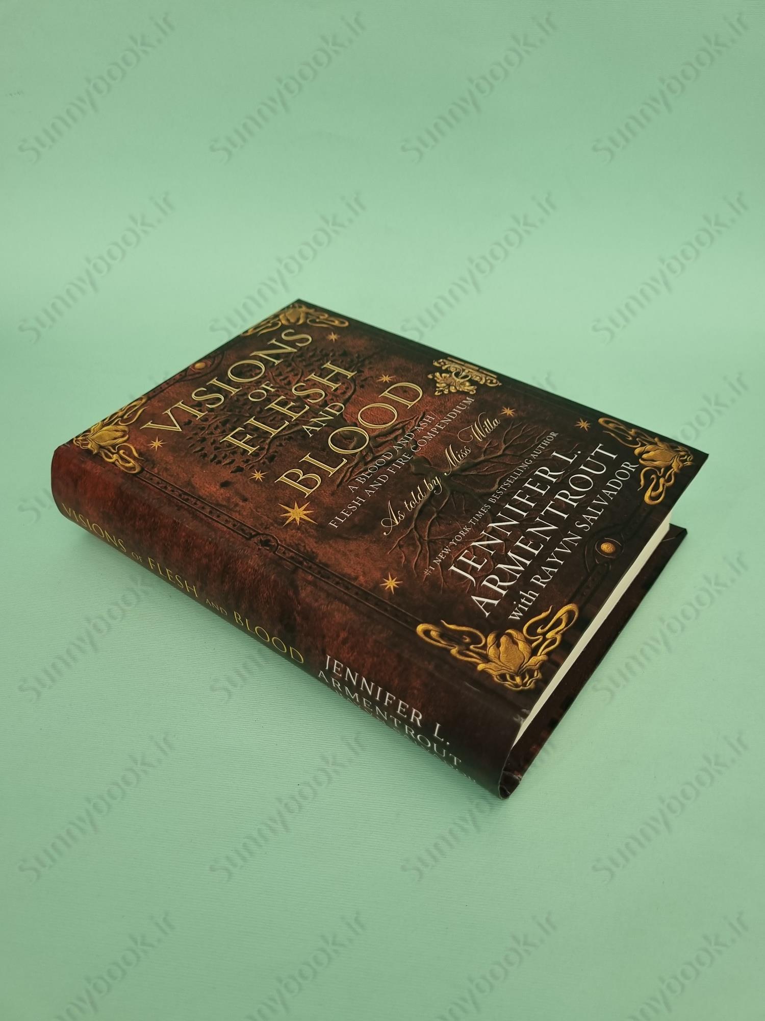 Visions of Flesh and Blood (Blood And Ash Book 5.5) main 1 3