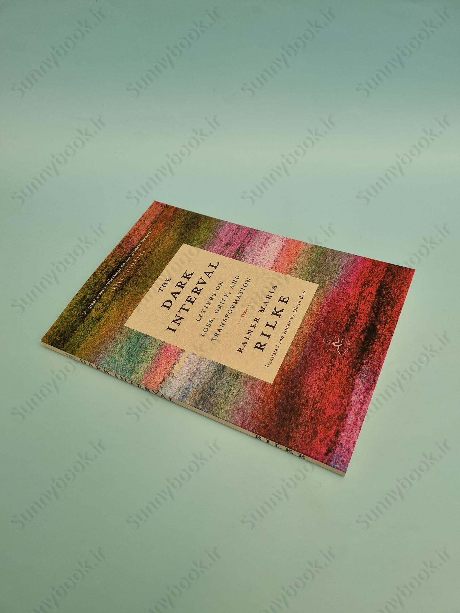 The Dark Interval: Letters on Loss, Grief, and Transformation main 1 3