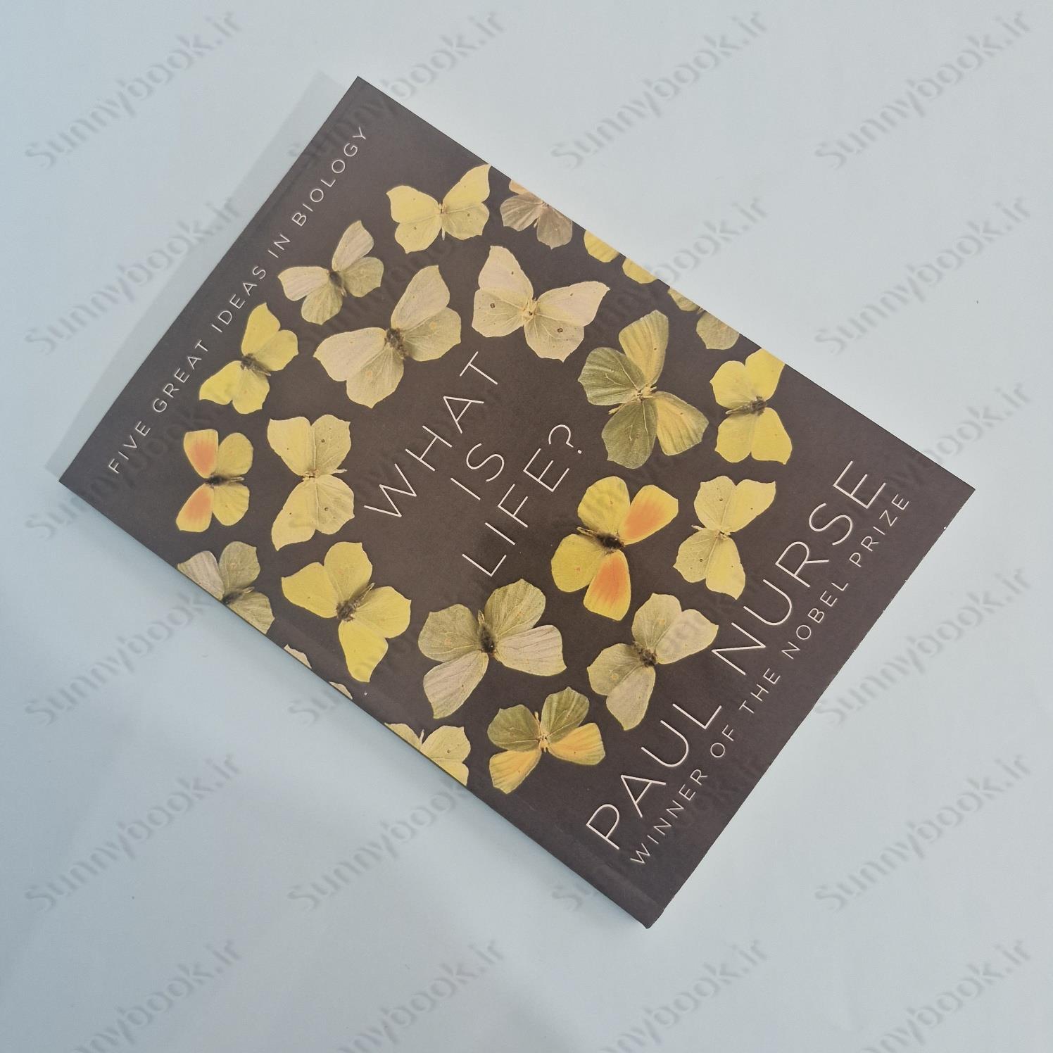 What Is Life? main 1 4