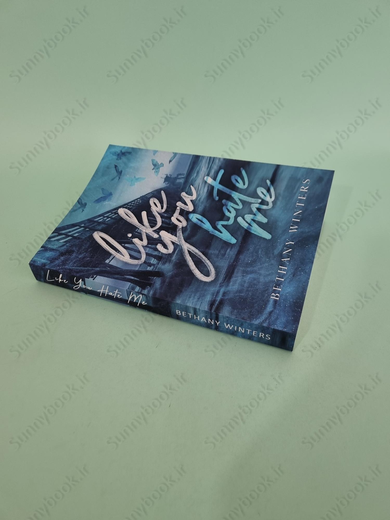 Like You Hate Me main 1 3