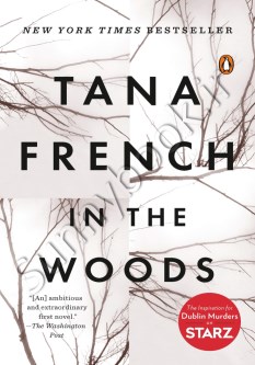 In the Woods (Dublin Murder Squad 1)