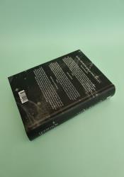 Lady of Ashes (Lady of Darkness 3) thumb 2 4