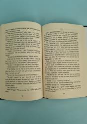 Ruin and Rising (The Shadow and Bone Trilogy 3) thumb 2 6