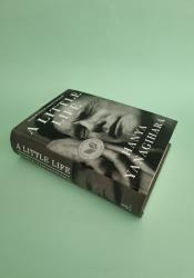 A Little Life thumb 1 3