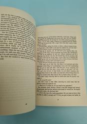 An Apprenticeship or The Book of Pleasures thumb 2 6