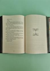 Grim and Oro (The Lightlark Saga) thumb 2 9