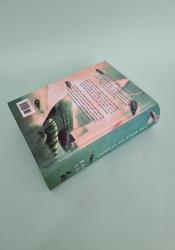 The Wall of Storms (The Dandelion Dynasty Book 2) thumb 1 5