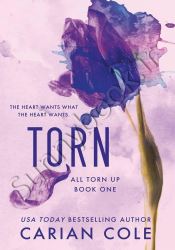 Torn (All Torn Up 1)
