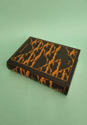 Metamorphoses thumb 1 3