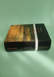 Don Quixote thumb 1 4