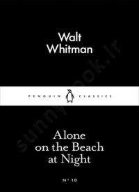 Alone on the Beach at Night