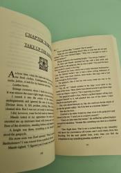The Knight and the Moth (The Stonewater Kingdom 1) thumb 2 6