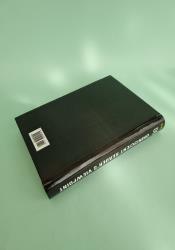 Omniscient Reader’s Viewpoint, Vol. 6 thumb 1 5