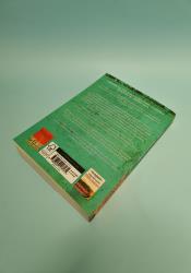 Persian Fire: The First World Empire and the Battle for the West (Romeinse Rijk-trilogie 2) thumb 1 4