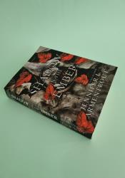 A Shadow in the Ember (Flesh and Fire 1) thumb 2 3