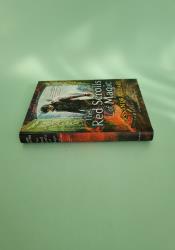 The Red Scrolls of Magic (The Eldest Curses 1) thumb 1 4