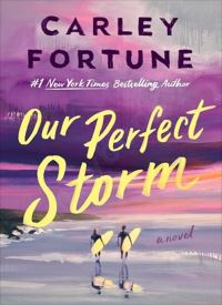 Our Perfect Storm Our Perfect Storm thumb 2 1